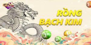 soi-cau-rong-vang-bach-kim