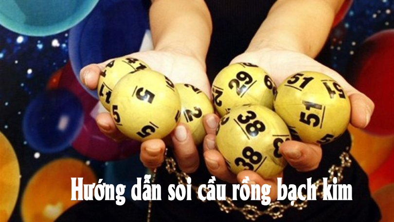 soi-cau-rong-vang-bach-kim