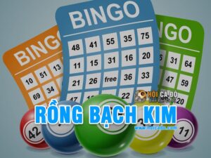 soi-cau-rong-bach-kim-plus